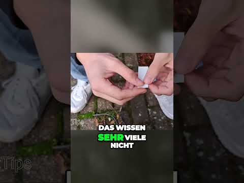 Die perfekte Technik, um einen M Tip perfekt zu bauen! #filter #tip #weed 💪🔥💯