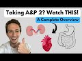 Anatomy & Physiology 2 | ENTIRE Course Explained in ONE Video!