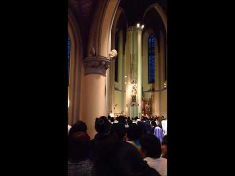 St. Mary of the Assumption Cathedral, Jakarta, Dec 2015.
