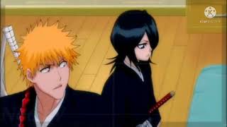 Bleach The Mysterious Guest