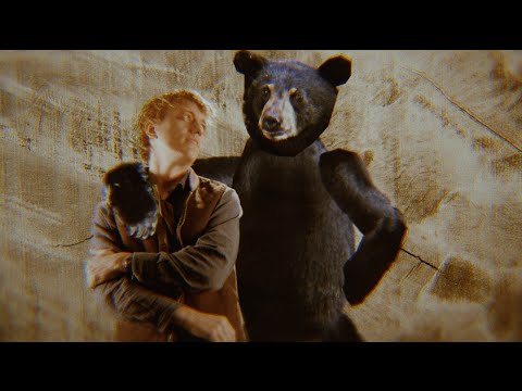 Steve Gunn - "Conditions Wild" (Official Video)