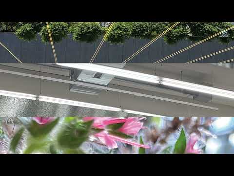 Steve Mill | Love Attack (Lorenz Rhode Remix) | Dirt Crew Recordings