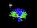 Survival Instrumental 