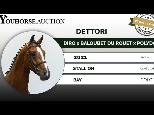Dettori loosejumping