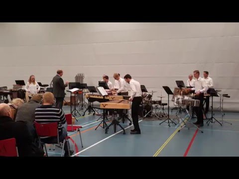 Happy hardcore percussion ensemble (Wonderful Days)