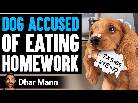 YouTube video about: What happens when a dog tastes blood?