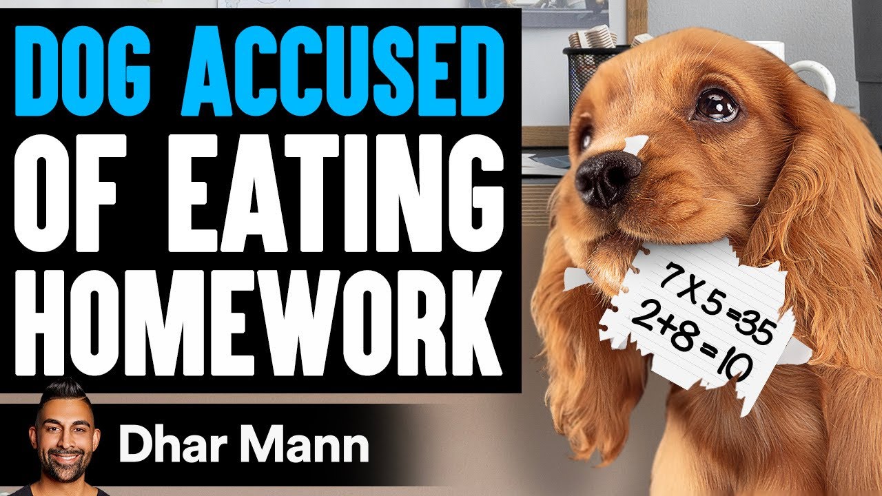 KID Says DOG ATE His HOMEWORK, He Lives To Regret It | Dhar Mann