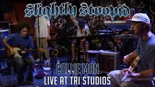 Collie Man - Slightly Stoopid (Live at Roberto&#39;s TRI Studios)