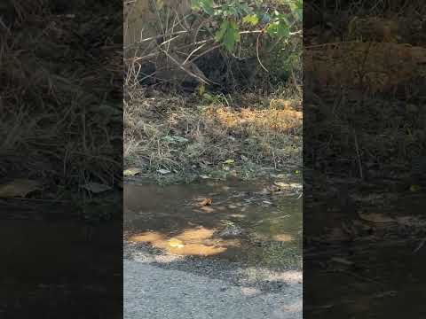 Сигнал до ТАРАЛЕЖ: Населени места в София област изправени пред водна криза