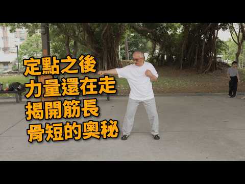 【20260502(02)】Exploring Martial Arts Core Structure: Crotch-Hip Initiation, Sinew-Bone Relationship.