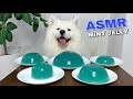 Dog Eating Mint Jelly From Genshin Impact