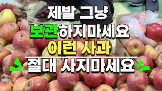 사과 고르는꿀팁, 대박 저장법 꼭 이렇게 보관해보세요 사과보관법 사과저장법