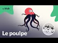 Le poulpe, l’alien des océans | Les super-pouvoirs du vivant