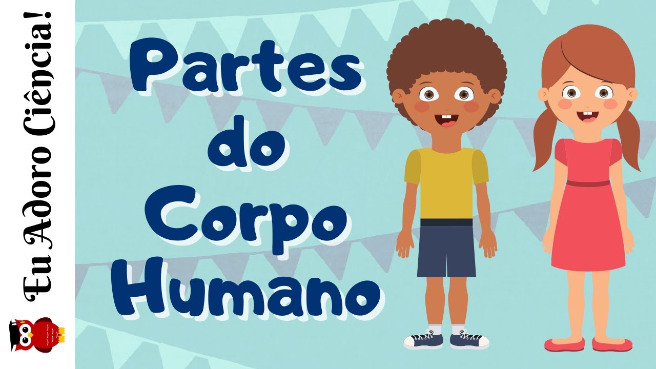 Watch Now As Partes do Corpo Humano | Ciências | Ensino Fundamental I (1º ano) As Partes do Corpo Humano | Ciências | Ensino Fundamental I (1º ano)