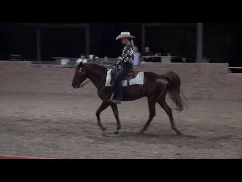 Legend's Outlaw M.R. Western Pleasure LK 1 2020