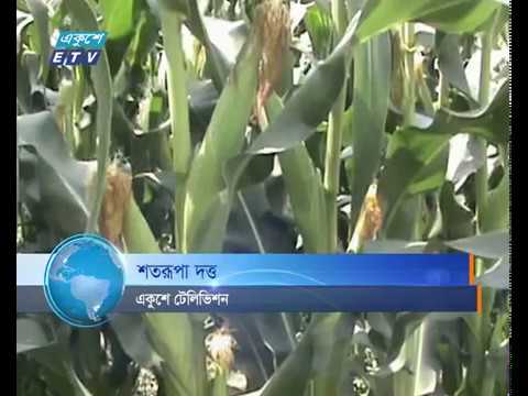 মর্জিনা বেগম এখন স্বাবলম্বী