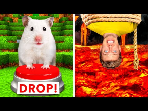 Hamster Maze vs Human Traps ???? World’s Most Extreme Elimination Game! Last To Survive Minecraft Wins
