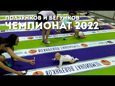 Чемпионат ползунков и бегунков – 2022
