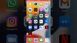 How to install Netflix in iOS 12.5.5