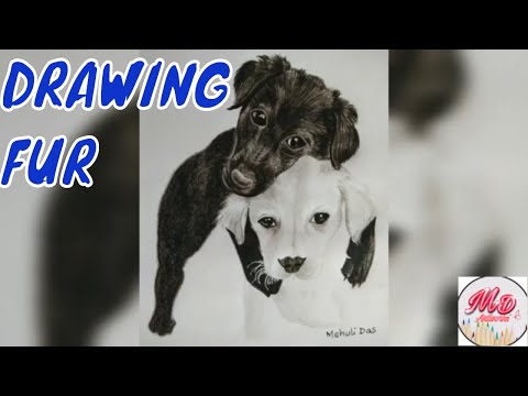 Black and White Puppies drawing - Pencil Shading...