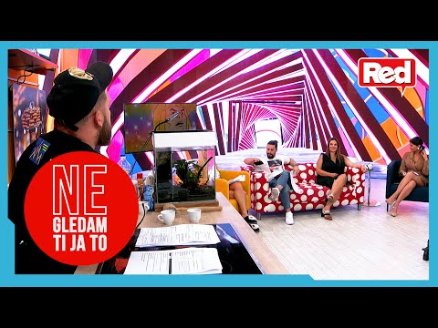 gošća: Ivona Tomković - PZD u NGTJT - 11 07 2022 - Red TV
