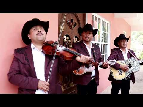 🚨🚨 HALCÓN HUASTECO DE MARTE SANTANA 🚨🚨 CORRIDO DE BENITO OLVERA 🚨🚨