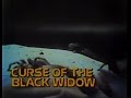 The ABC Friday Night Movie Curse Of The Black Widow WLS TV Opening Break 1977