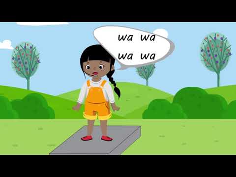 Shannon's Channel Coding Theorem explained in 5 minutes