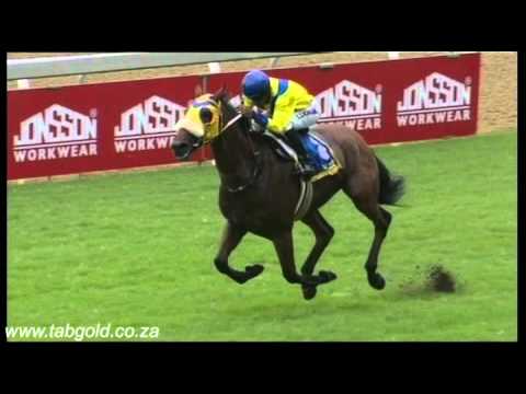 20151226 Greyville Race 9 won by SAARIKH