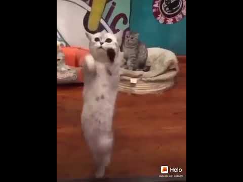 Woy yok gelottt🤣🤣🤣