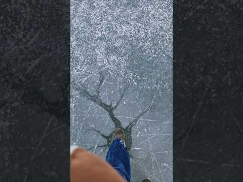 Da ist jz ein riss im Eis 😂