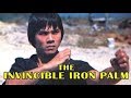 Wu Tang Collection Invincible Iron Palm