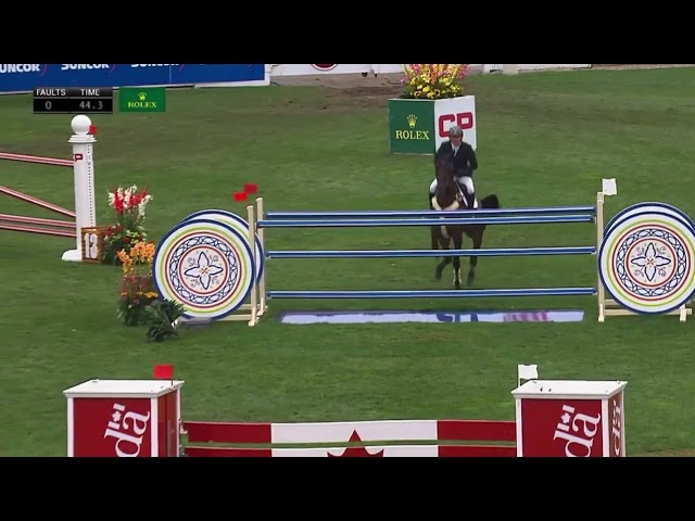 Grandmother of this frozen embryo is the CSI 5* 1.70m jumping mare Zypria S with rider Willem Greve.