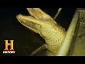 Swamp People Nighttime Gator Hunt In Mississippi Season 10 History