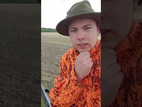 Rapsjagd kleine Einführung