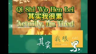 Download lagu Qi Shi Wo Hen Lei 其实我很累 - 安儿陈 An Er Chén mp3