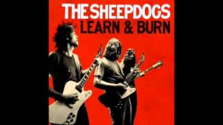 Suddenly- The Sheepdogs