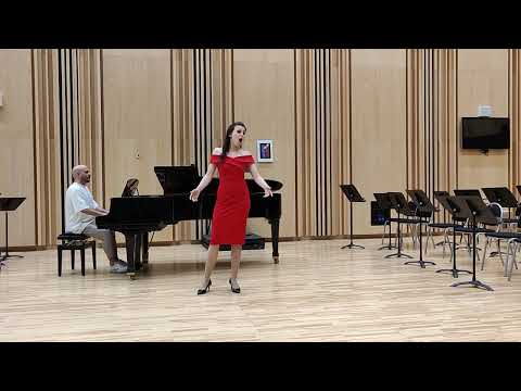 Kristýna Kůstková: Liška Bystrouška - Kradla jsem