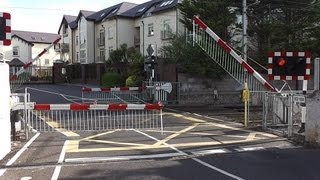 preview picture of video 'Level Crossing - Claremont Road, Dublin'