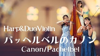 Download lagu 《ハープと2台ヴァイオリン》教会で『パッヘルベルのカノン』 mp3