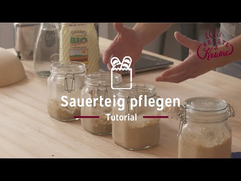 Anstellgut - Sauerteig pflegen und konservieren | Kruste&Krume