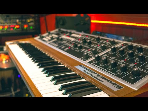 MemoryMoog | Fat Fragile Fabulous Vintage Analog