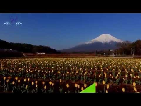 relax your heart yamanakako - 山中湖～四季～