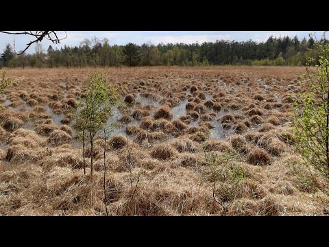 Pieterpad: Etappe 5 van Rolde naar Schoonloo