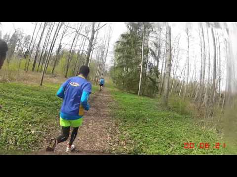 Närkes Terräng-DM (korta) 2016 - 4 km (Löparperspektiv, kort)