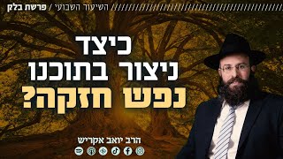 פרשת בלק • כיצד ניצור בתוכנו נפש חזקה? (הרב יואב אקריש) - התמונה מוצגת ישירות מתוך אתר האינטרנט יוטיוב. זכויות היוצרים בתמונה שייכות ליוצרה. קישור קרדיט למקור התוכן נמצא בתוך דף הסרטון