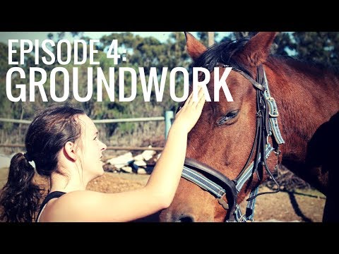Groundwork | Episode 4