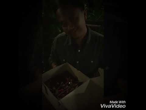 Happy 33th Birthday Al Amin