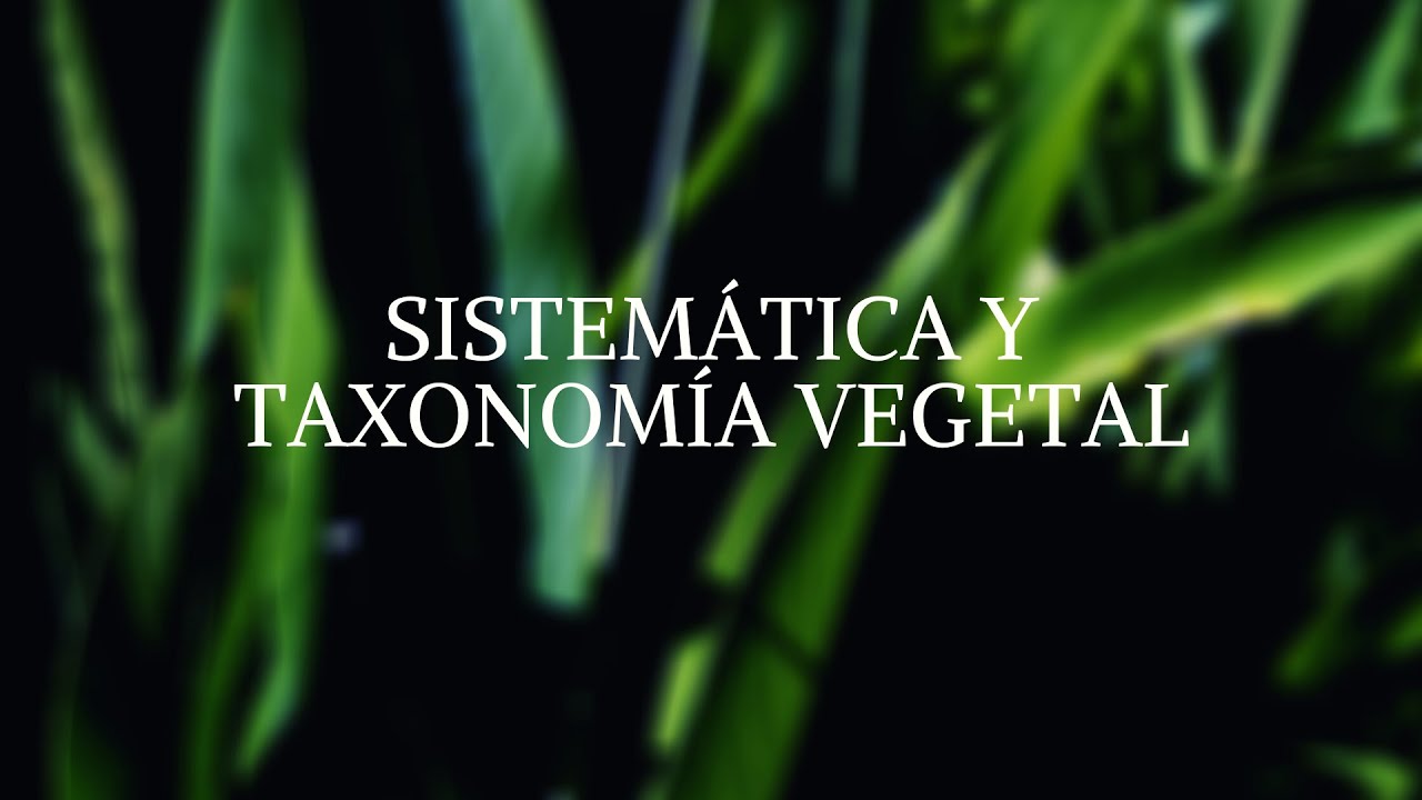 SISTEMÁTICA Y TAXONOMÍA VEGETAL