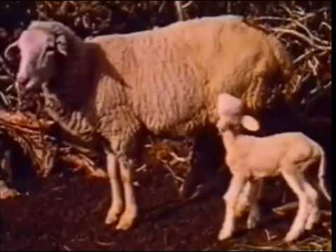 Svet, ktorý zahynul potopou - Stan Taylor